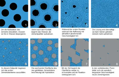Phasen der Zementhydratation