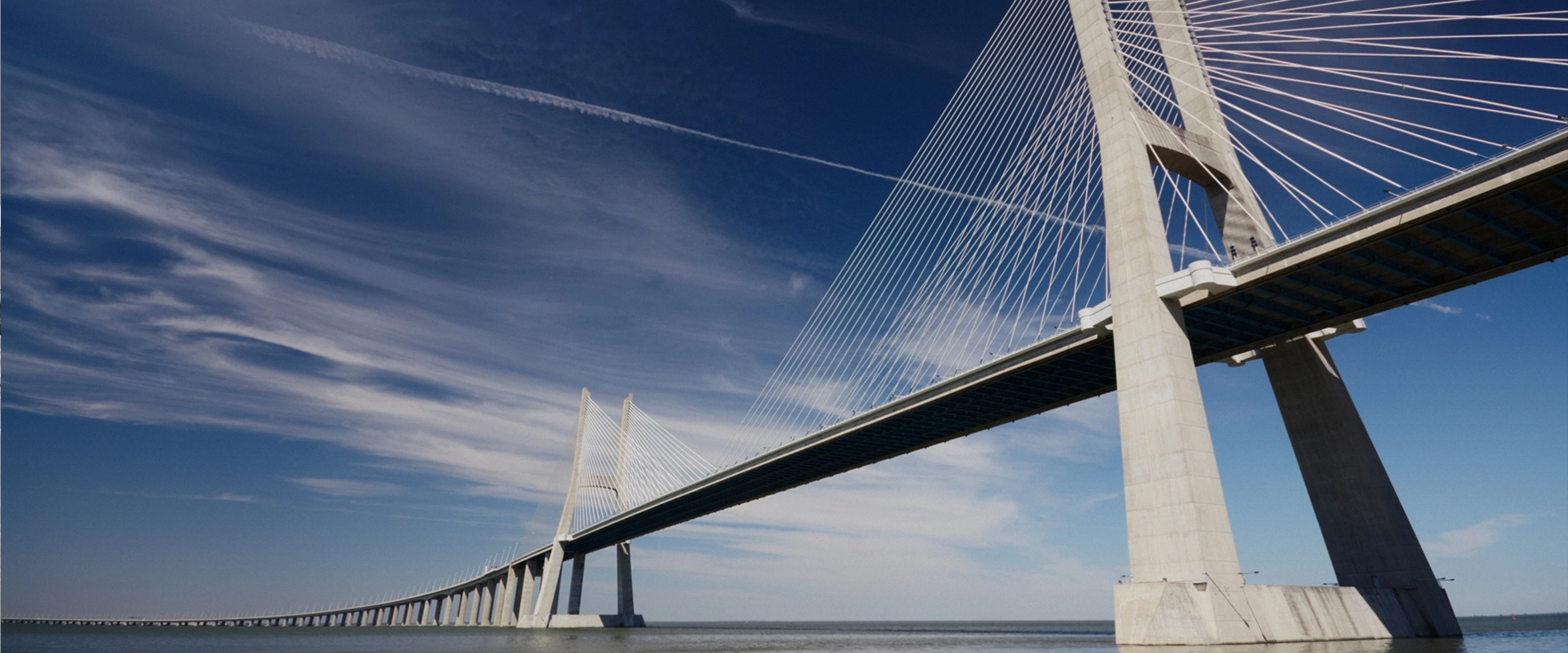 Field of Expertise Brücke